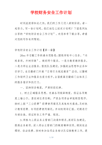 学校财务安全工作计划