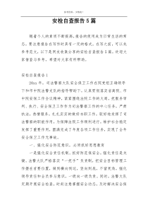 安检自查报告5篇