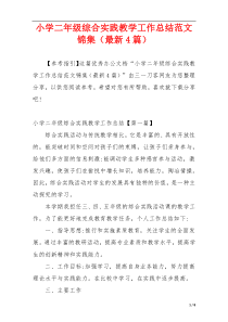 小学二年级综合实践教学工作总结范文锦集（最新4篇）
