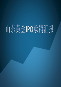山东黄金IPO调查汇报-投资银行学