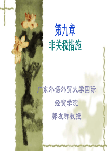 国际贸易第9章非关税措施