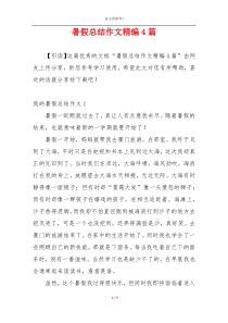 暑假总结作文精编4篇