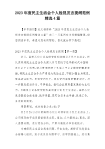 2023年度民主生活会个人检视发言提纲范例精选4篇