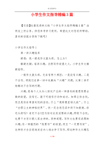 小学生作文指导精编3篇