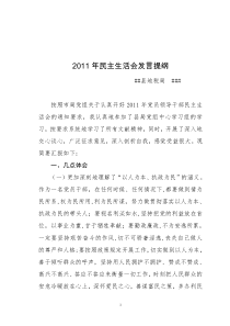 地税局副局长民主生活会发言提纲1