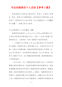 专业实践报告个人总结【参考5篇】