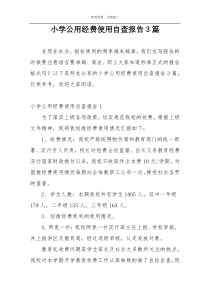 小学公用经费使用自查报告3篇