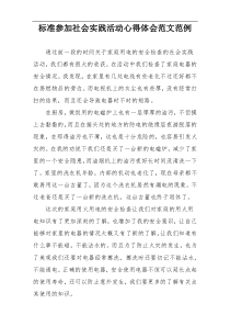 标准参加社会实践活动心得体会范文范例