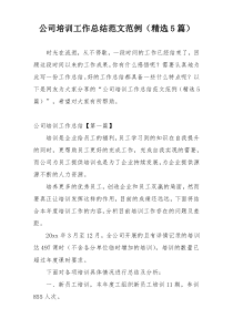 公司培训工作总结范文范例（精选5篇）