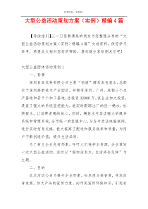 大型公益活动策划方案（实例）精编4篇