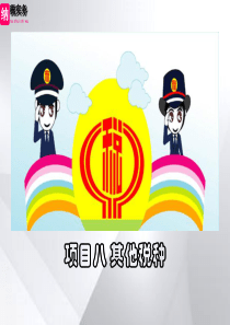 小税种
