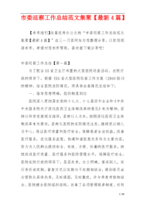 市委巡察工作总结范文集聚【最新4篇】