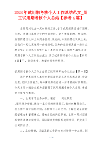 2023年试用期考核个人工作总结范文_员工试用期考核个人总结【参考4篇】