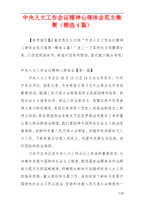 中央人大工作会议精神心得体会范文集聚（精选4篇）