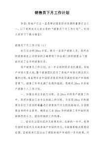 销售员下月工作计划