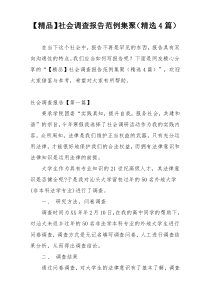 【精品】社会调查报告范例集聚（精选4篇）