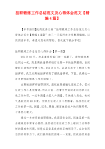挂职锻炼工作总结范文及心得体会范文【精编4篇】