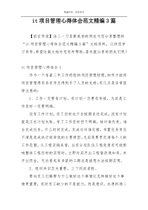it项目管理心得体会范文精编3篇