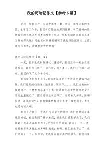 我的历险记作文【参考5篇】