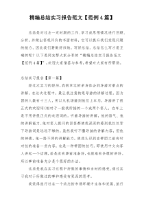 精编总结实习报告范文【范例4篇】