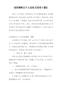 试用期转正个人总结【实用5篇】