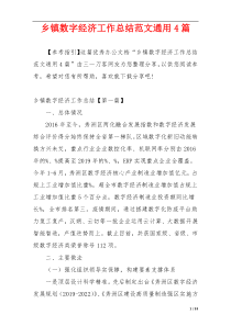 乡镇数字经济工作总结范文通用4篇