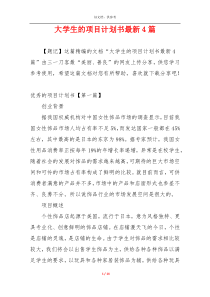 大学生的项目计划书最新4篇