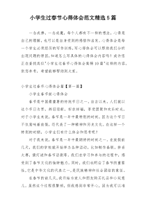 小学生过春节心得体会范文精选5篇