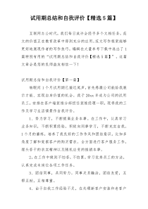 试用期总结和自我评价【精选5篇】