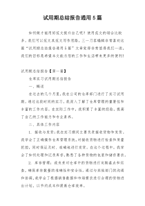 试用期总结报告通用5篇