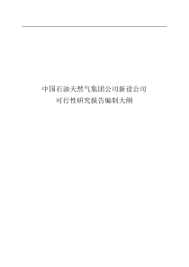 新设、股权投资、增资可研报告编制大纲(试行)