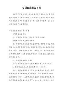 专项自查报告4篇