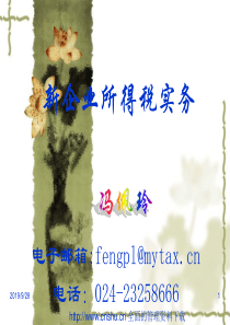 新企业所得税实务(ppt 104页)