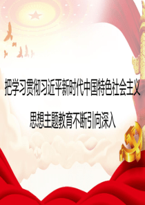 坚持不懈用习近平新时代中国特色社会主义思想凝心铸魂（主题教育）（PPT）