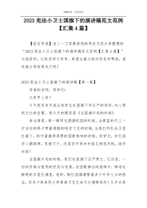 2023宪法小卫士国旗下的演讲稿范文范例【汇集4篇】