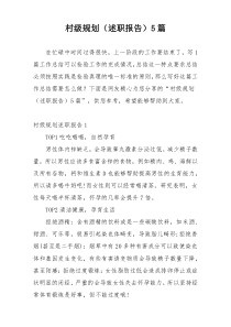 村级规划（述职报告）5篇