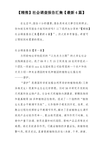 【精推】社会调查报告汇集【最新4篇】