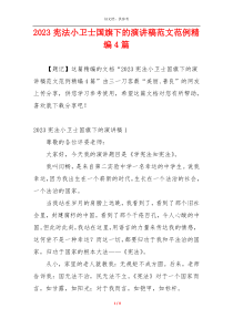 2023宪法小卫士国旗下的演讲稿范文范例精编4篇