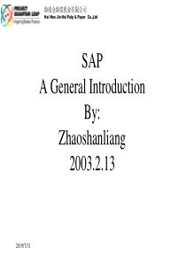 SAP 定义简介2