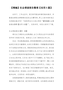 【精编】社会调查报告整理【实用5篇】