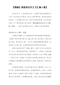 【精编】调查报告作文【汇编4篇】
