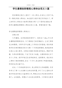学生暑期挂职锻炼心得体会范文3篇