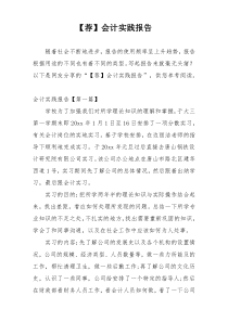【荐】会计实践报告