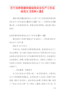 关于自然资源和规划局安全生产工作总结范文【范例4篇】