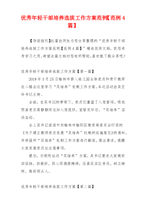 优秀年轻干部培养选拔工作方案范例【范例4篇】