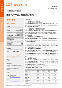 气体投资要点