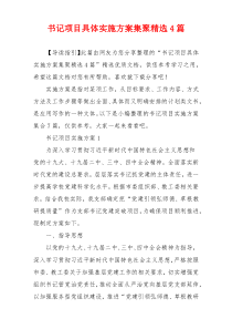 书记项目具体实施方案集聚精选4篇