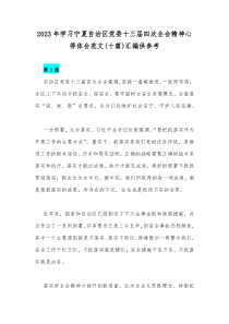 2023年学习宁夏自治区党委十三届四次全会精神心得体会范文(十篇)汇编供参考