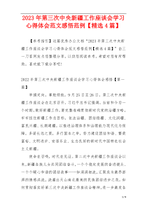2023年第三次中央新疆工作座谈会学习心得体会范文感悟范例【精选4篇】