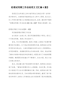 经理试用期工作总结范文【汇编4篇】